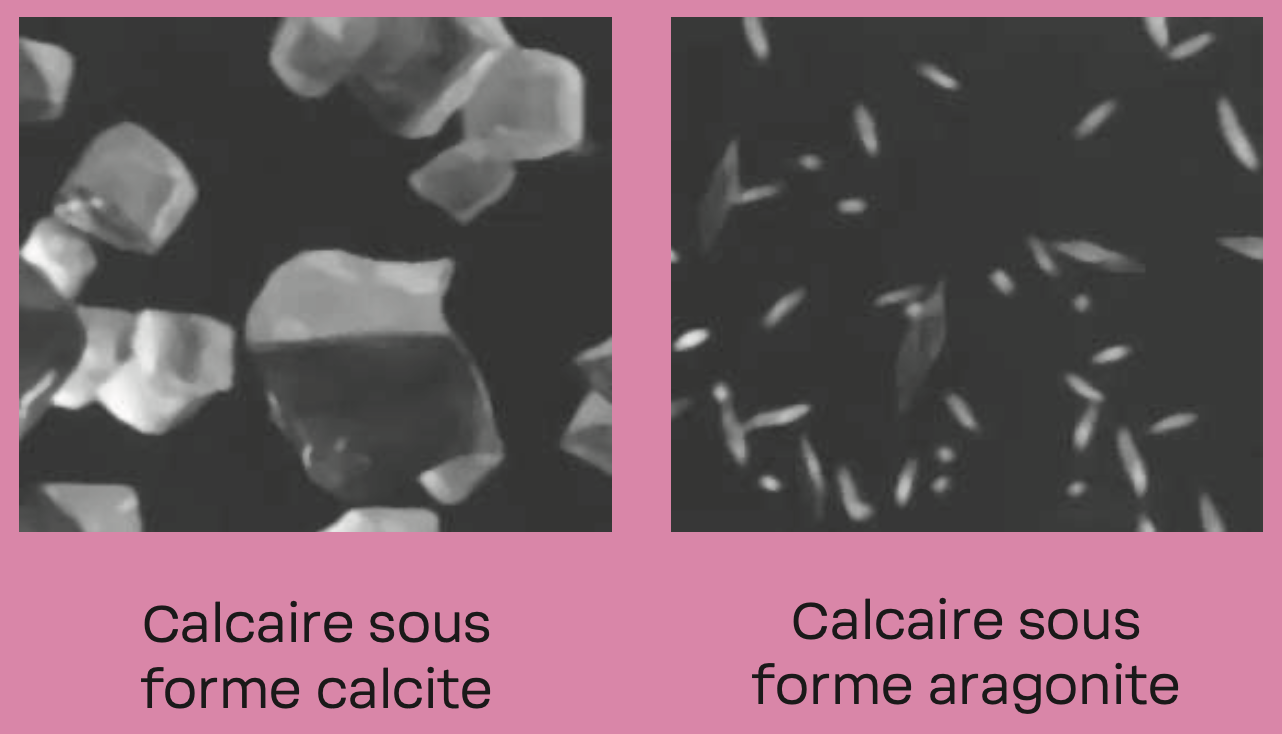 Calcite VS Aragonite